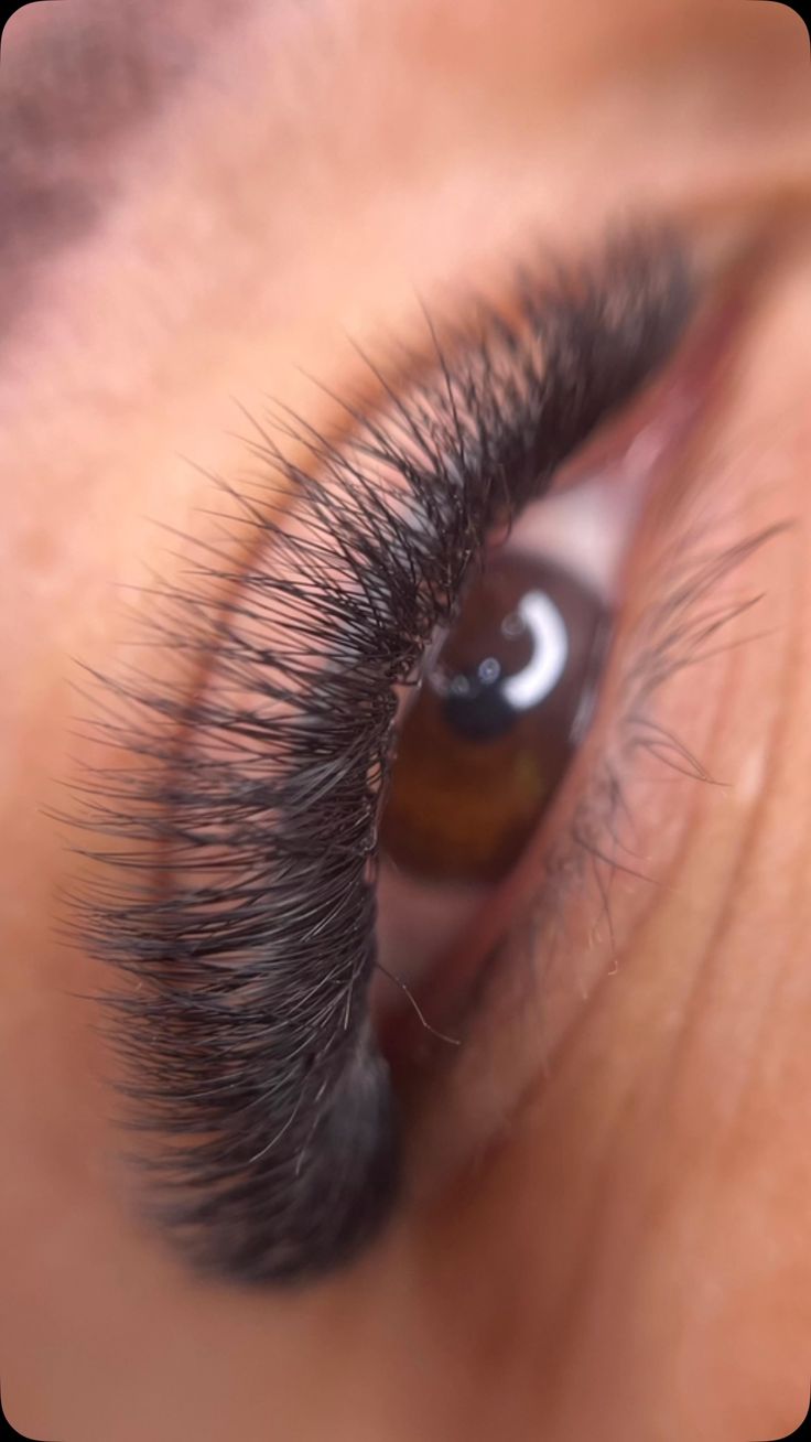 [ Volume Eyelash ] - 3499